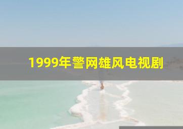 1999年警网雄风电视剧