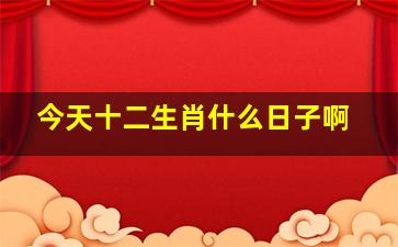 今天十二生肖什么日子啊