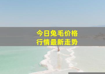 今日兔毛价格行情最新走势