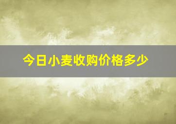 今日小麦收购价格多少