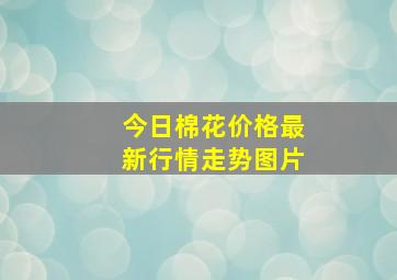 今日棉花价格最新行情走势图片