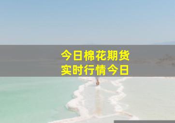 今日棉花期货实时行情今日