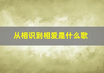 从相识到相爱是什么歌