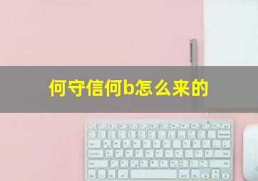 何守信何b怎么来的