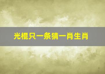 光棍只一条猜一肖生肖