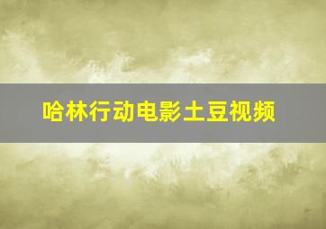 哈林行动电影土豆视频