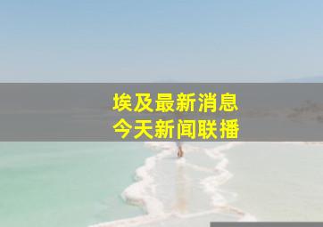 埃及最新消息今天新闻联播