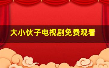 大小伙子电视剧免费观看