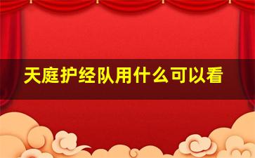 天庭护经队用什么可以看