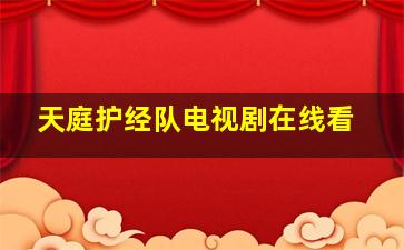 天庭护经队电视剧在线看