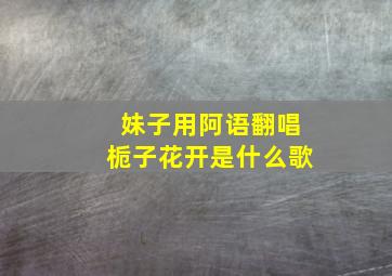 妹子用阿语翻唱栀子花开是什么歌