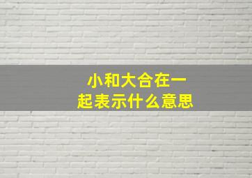 小和大合在一起表示什么意思