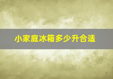 小家庭冰箱多少升合适