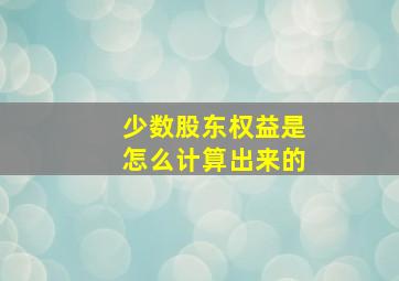 少数股东权益是怎么计算出来的