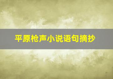 平原枪声小说语句摘抄