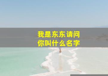 我是东东请问你叫什么名字