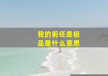 我的前任是极品是什么意思