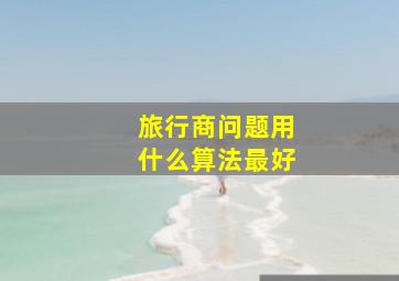 旅行商问题用什么算法最好