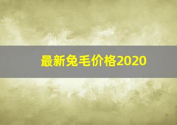 最新兔毛价格2020