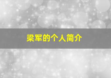 梁军的个人简介