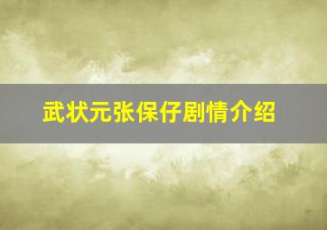 武状元张保仔剧情介绍