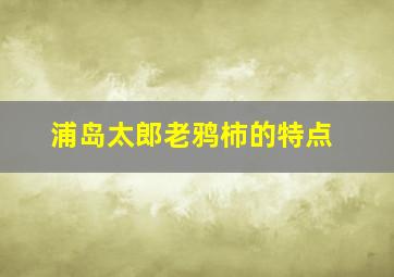 浦岛太郎老鸦柿的特点