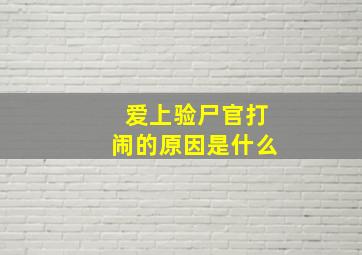 爱上验尸官打闹的原因是什么