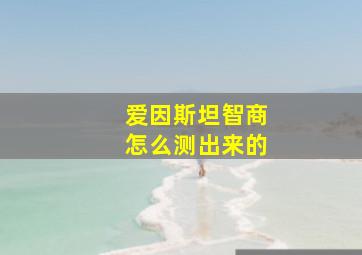 爱因斯坦智商怎么测出来的