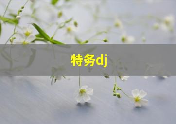 特务dj