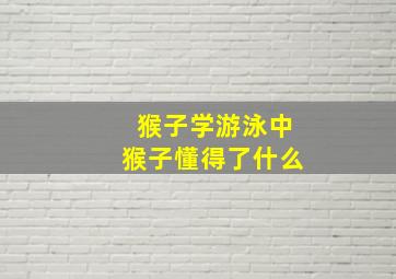 猴子学游泳中猴子懂得了什么