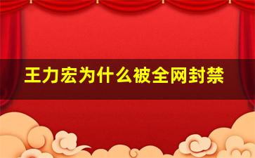 王力宏为什么被全网封禁