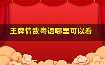 王牌情敌粤语哪里可以看