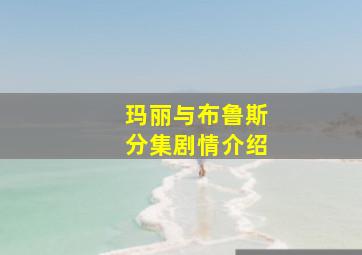 玛丽与布鲁斯分集剧情介绍