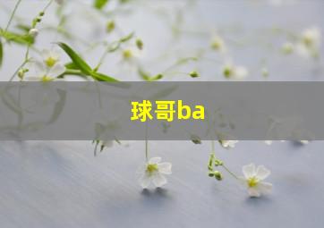 球哥ba