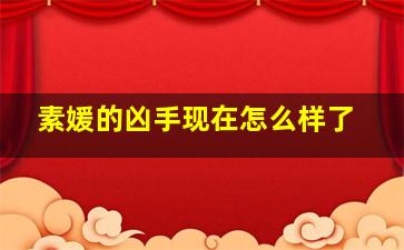 素媛的凶手现在怎么样了