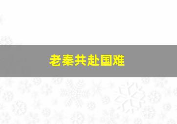 老秦共赴国难