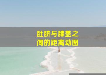 肚脐与膝盖之间的距离动图