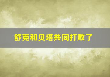 舒克和贝塔共同打败了