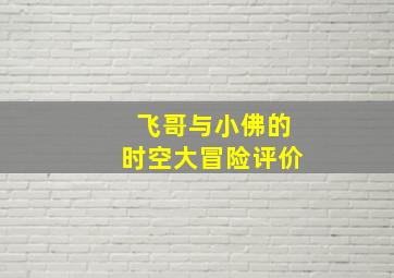 飞哥与小佛的时空大冒险评价