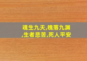 魂生九天,魄落九渊,生者悲苦,死人平安