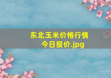 东北玉米价格行情今日报价