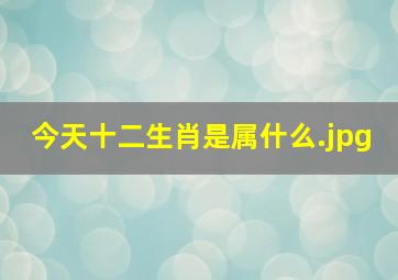 今天十二生肖是属什么