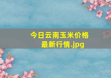 今日云南玉米价格最新行情