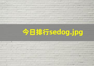 今日排行sedog