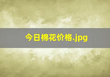 今日棉花价格