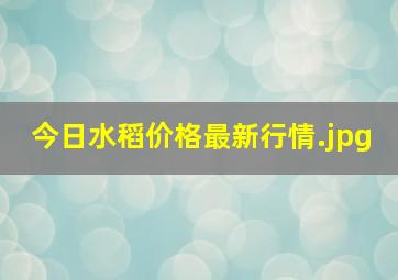 今日水稻价格最新行情