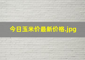 今日玉米价最新价格