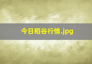 今日稻谷行情