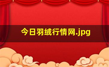 今日羽绒行情网