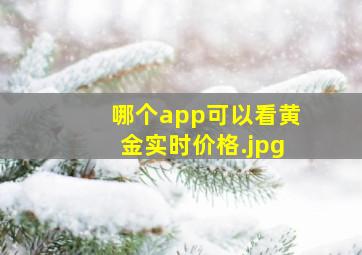 哪个app可以看黄金实时价格